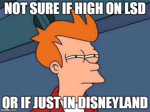Futurama Fry | NOT SURE IF HIGH ON LSD OR IF JUST IN DISNEYLAND | image tagged in memes,futurama fry | made w/ Imgflip meme maker