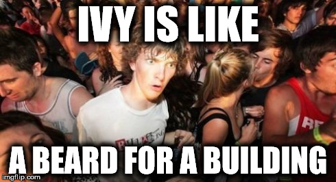 Sudden Clarity Clarence | IVY IS LIKE A BEARD FOR A BUILDING | image tagged in memes,sudden clarity clarence | made w/ Imgflip meme maker