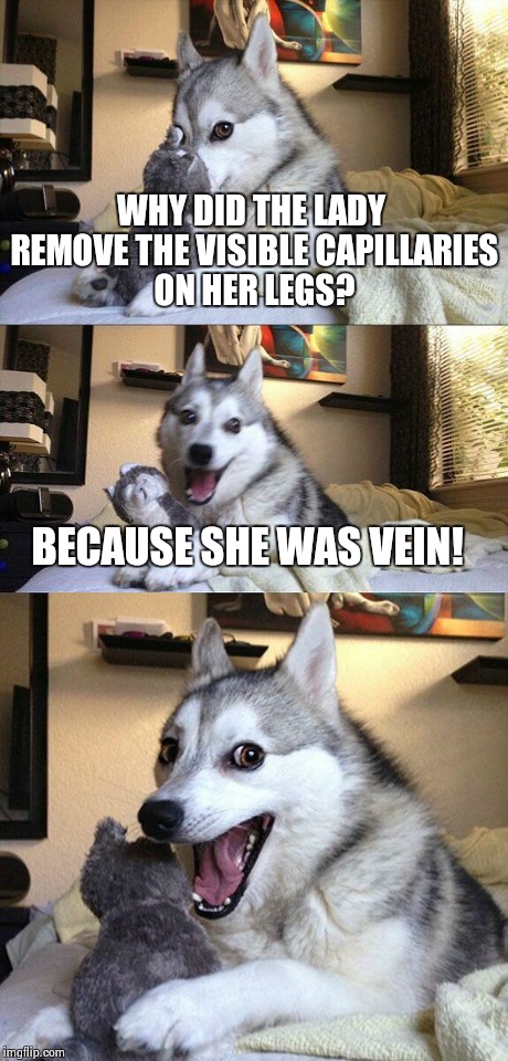 Bad Pun Dog | WHY DID THE LADY REMOVE THE VISIBLE CAPILLARIES ON HER LEGS? BECAUSE SHE WAS VEIN! | image tagged in memes,bad pun dog | made w/ Imgflip meme maker