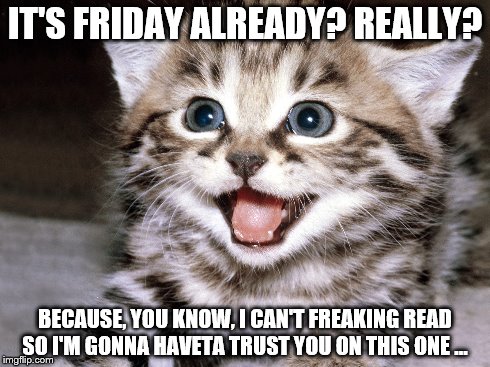 Friday Kitten | IT'S FRIDAY ALREADY? REALLY? BECAUSE, YOU KNOW, I CAN'T FREAKING READ SO I'M GONNA HAVETA TRUST YOU ON THIS ONE ... | image tagged in kitten,friday | made w/ Imgflip meme maker