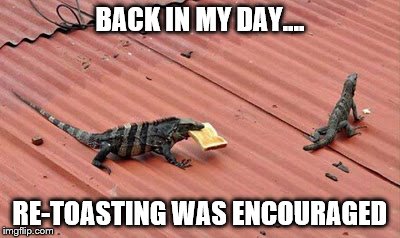 White or wheat? | BACK IN MY DAY.... RE-TOASTING WAS ENCOURAGED | image tagged in reptile | made w/ Imgflip meme maker