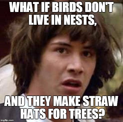 Conspiracy Keanu Meme | WHAT IF BIRDS DON'T LIVE IN NESTS, AND THEY MAKE STRAW HATS FOR TREES? | image tagged in memes,conspiracy keanu | made w/ Imgflip meme maker