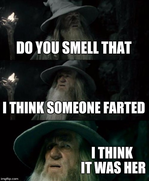 Confused Gandalf | DO YOU SMELL THAT I THINK SOMEONE FARTED I THINK IT WAS HER | image tagged in memes,confused gandalf | made w/ Imgflip meme maker