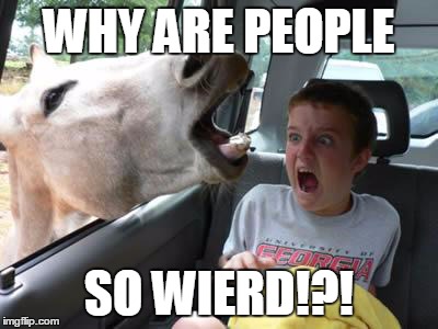 horsesass | WHY ARE PEOPLE SO WIERD!?! | image tagged in horsesass | made w/ Imgflip meme maker