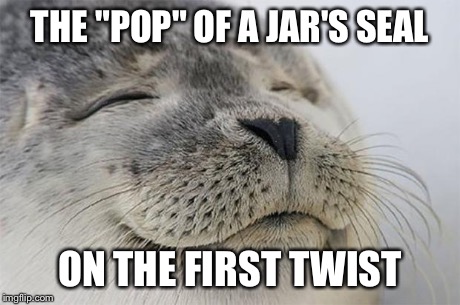 Satisfied Seal | THE "POP" OF A JAR'S SEAL ON THE FIRST TWIST | image tagged in memes,satisfied seal,AdviceAnimals | made w/ Imgflip meme maker