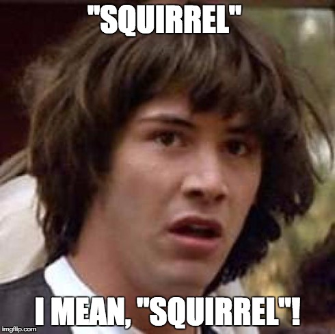 Conspiracy Keanu Meme | "SQUIRREL" I MEAN, "SQUIRREL"! | image tagged in memes,conspiracy keanu | made w/ Imgflip meme maker