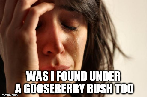 First World Problems | WAS I FOUND UNDER A GOOSEBERRY BUSH TOO | image tagged in memes,first world problems | made w/ Imgflip meme maker