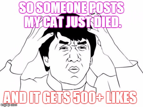 Jackie Chan WTF | SO SOMEONE POSTS MY CAT JUST DIED. AND IT GETS 500+ LIKES | image tagged in memes,jackie chan wtf | made w/ Imgflip meme maker