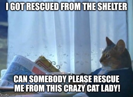 I Should Buy A Boat Cat | I GOT RESCUED FROM THE SHELTER CAN SOMEBODY PLEASE RESCUE ME FROM THIS CRAZY CAT LADY! | image tagged in memes,i should buy a boat cat | made w/ Imgflip meme maker