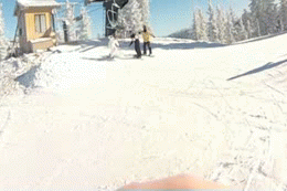 Face Plant | image tagged in gifs | made w/ Imgflip video-to-gif maker