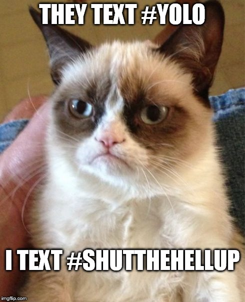 Grumpy Cat Meme | THEY TEXT #YOLO I TEXT #SHUTTHEHELLUP | image tagged in memes,grumpy cat | made w/ Imgflip meme maker