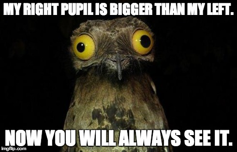 Weird Stuff I Do Potoo | MY RIGHT PUPIL IS BIGGER THAN MY LEFT. NOW YOU WILL ALWAYS SEE IT. | image tagged in memes,weird stuff i do potoo | made w/ Imgflip meme maker