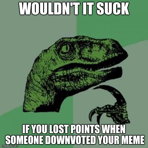 Philosoraptor | WOULDN'T IT SUCK IF YOU LOST POINTS WHEN SOMEONE DOWNVOTED YOUR MEME | image tagged in memes,philosoraptor | made w/ Imgflip meme maker