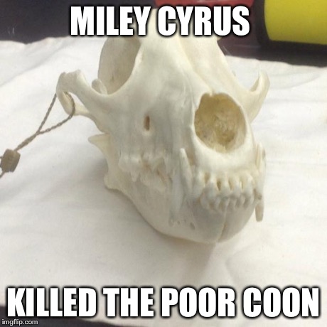 MILEY CYRUS KILLED THE POOR COON | image tagged in dead coon | made w/ Imgflip meme maker