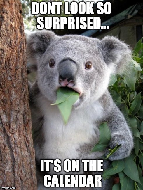 Surprised Koala | DONT LOOK SO SURPRISED... IT'S ON THE CALENDAR | image tagged in memes,surprised koala | made w/ Imgflip meme maker