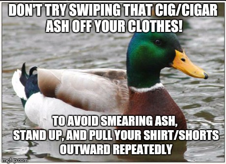 gotta keep those dickies clean | DON'T TRY SWIPING THAT CIG/CIGAR ASH OFF YOUR CLOTHES! TO AVOID SMEARING ASH, STAND UP, AND PULL YOUR SHIRT/SHORTS OUTWARD REPEATEDLY | image tagged in memes,actual advice mallard | made w/ Imgflip meme maker