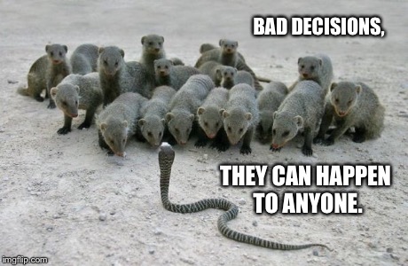 Fear the Mongoose Horde  | BAD DECISIONS, THEY CAN HAPPEN TO ANYONE. | image tagged in mongoose | made w/ Imgflip meme maker