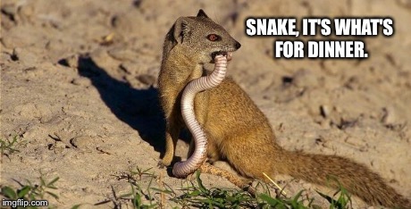 Dinner Time! | SNAKE, IT'S WHAT'S FOR DINNER. | image tagged in dinner time | made w/ Imgflip meme maker