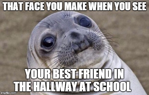 Awkward Moment Sealion | THAT FACE YOU MAKE WHEN YOU SEE YOUR BEST FRIEND IN THE HALLWAY AT SCHOOL | image tagged in memes,awkward moment sealion | made w/ Imgflip meme maker