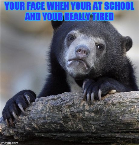 Confession Bear | YOUR FACE WHEN YOUR AT SCHOOL AND YOUR REALLY TIRED | image tagged in memes,confession bear | made w/ Imgflip meme maker