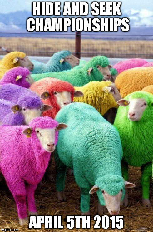Easter Sheep | HIDE AND SEEK CHAMPIONSHIPS APRIL 5TH 2015 | image tagged in easter sheep | made w/ Imgflip meme maker