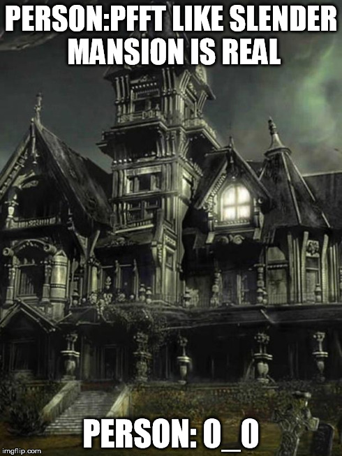 Creepypasta Role Play | PERSON:PFFT LIKE SLENDER MANSION IS REAL PERSON: 0_0 | image tagged in creepypasta role play | made w/ Imgflip meme maker