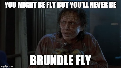 YOU MIGHT BE FLY BUT YOU'LL NEVER BE BRUNDLE FLY | image tagged in horror | made w/ Imgflip meme maker