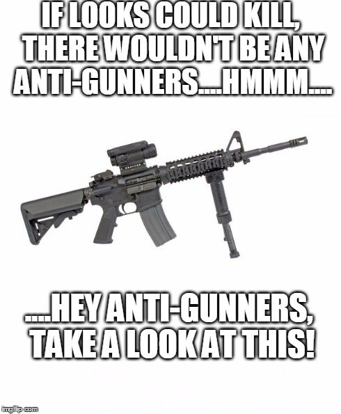 AR15 | IF LOOKS COULD KILL, THERE WOULDN'T BE ANY ANTI-GUNNERS....HMMM.... ....HEY ANTI-GUNNERS, TAKE A LOOK AT THIS! | image tagged in ar15 | made w/ Imgflip meme maker