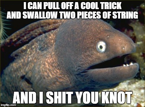 Bad Joke Eel | I CAN PULL OFF A COOL TRICK AND SWALLOW TWO PIECES OF STRING AND I SHIT YOU KNOT | image tagged in memes,bad joke eel | made w/ Imgflip meme maker