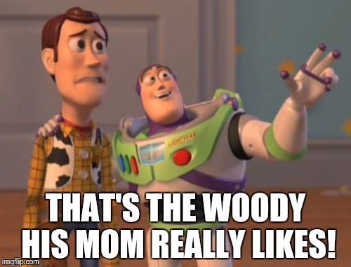 X, X Everywhere | THAT'S THE WOODY HIS MOM REALLY LIKES! | image tagged in memes,x x everywhere | made w/ Imgflip meme maker