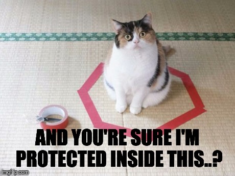 hex cat | AND YOU'RE SURE I'M PROTECTED INSIDE THIS..? | image tagged in hex cat,memes | made w/ Imgflip meme maker