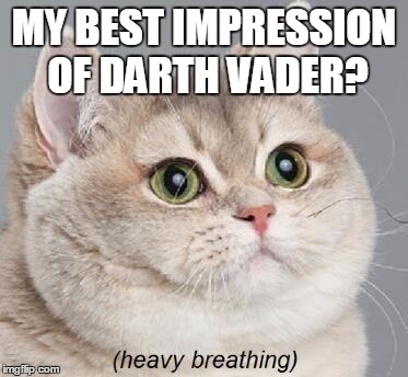 Heavy Breathing Cat | MY BEST IMPRESSION OF DARTH VADER? | image tagged in memes,heavy breathing cat | made w/ Imgflip meme maker