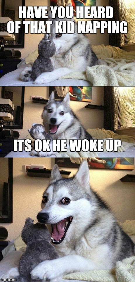 Bad Pun Dog | HAVE YOU HEARD OF THAT KID NAPPING ITS OK HE WOKE UP | image tagged in memes,bad pun dog | made w/ Imgflip meme maker