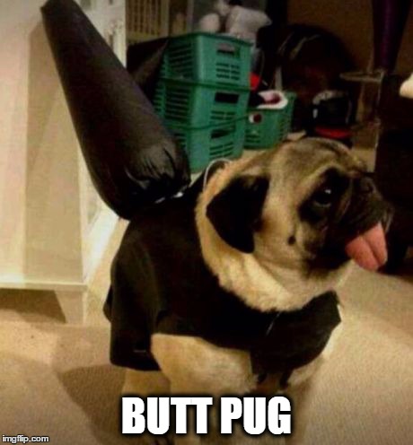 Butt Pug | BUTT PUG | image tagged in pugs | made w/ Imgflip meme maker