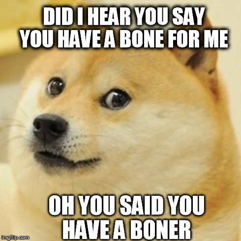 Doge | DID I HEAR YOU SAY YOU HAVE A BONE FOR ME OH YOU SAID YOU HAVE A BONER | image tagged in memes,doge | made w/ Imgflip meme maker