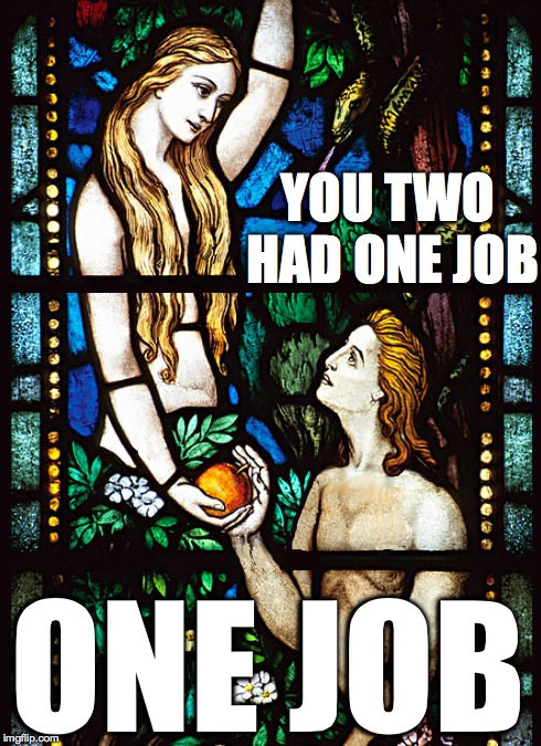 Darnit Adam and Eve | YOU TWO HAD ONE JOB ONE JOB | image tagged in god,bible,adam,eve,genesis,epic fail | made w/ Imgflip meme maker