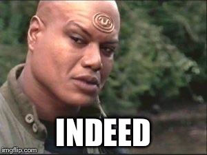 INDEED | image tagged in teal'c eyebrow | made w/ Imgflip meme maker