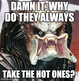 Predator | DAMN IT, WHY DO THEY ALWAYS TAKE THE HOT ONES? | image tagged in predator | made w/ Imgflip meme maker