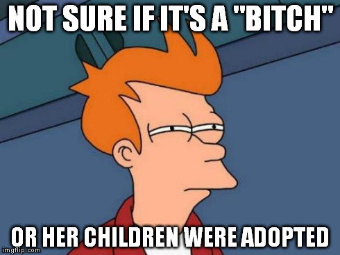 Futurama Fry Meme | NOT SURE IF IT'S A "B**CH" OR HER CHILDREN WERE ADOPTED | image tagged in memes,futurama fry | made w/ Imgflip meme maker