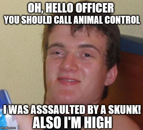 10 Guy | OH, HELLO OFFICER I WAS ASSSAULTED BY A SKUNK! YOU SHOULD CALL ANIMAL CONTROL ALSO I'M HIGH | image tagged in memes,10 guy | made w/ Imgflip meme maker
