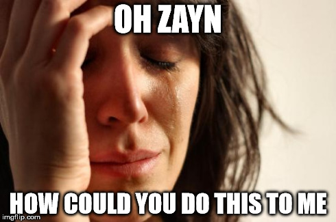 First World Problems Meme | OH ZAYN HOW COULD YOU DO THIS TO ME | image tagged in memes,first world problems | made w/ Imgflip meme maker