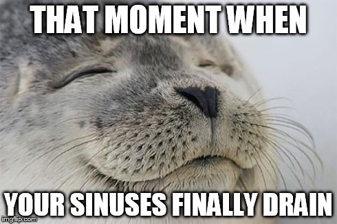 Satisfied Seal Meme | THAT MOMENT WHEN YOUR SINUSES FINALLY DRAIN | image tagged in memes,satisfied seal,AdviceAnimals | made w/ Imgflip meme maker