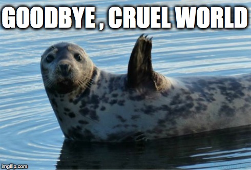 Goodbye | GOODBYE , CRUEL WORLD | image tagged in seal,sea,memes,goodbye | made w/ Imgflip meme maker