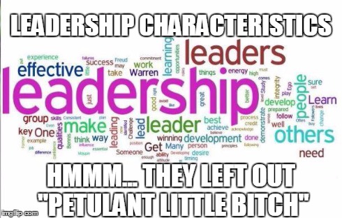 Leadership characteristics | LEADERSHIP CHARACTERISTICS HMMM... THEY LEFT OUT "PETULANT LITTLE B**CH" | image tagged in leadership characteristics,memes | made w/ Imgflip meme maker