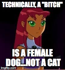 On My Planet... | TECHNICALLY, A "B**CH" IS A FEMALE DOG...NOT A CAT | image tagged in on my planet | made w/ Imgflip meme maker