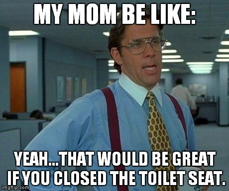 That Would Be Great | MY MOM BE LIKE: YEAH...THAT WOULD BE GREAT IF YOU CLOSED THE TOILET SEAT. | image tagged in memes,that would be great | made w/ Imgflip meme maker