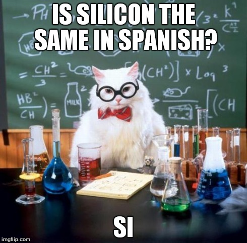Chemistry Cat Meme | IS SILICON THE SAME IN SPANISH? SI | image tagged in memes,chemistry cat | made w/ Imgflip meme maker