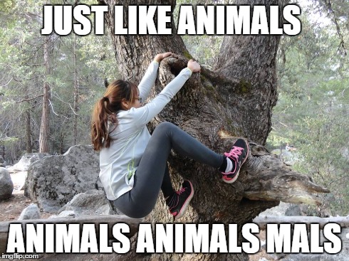Just like animals | JUST LIKE ANIMALS ANIMALS ANIMALS MALS | image tagged in animals,funny,girls,maroon 5,sexy | made w/ Imgflip meme maker