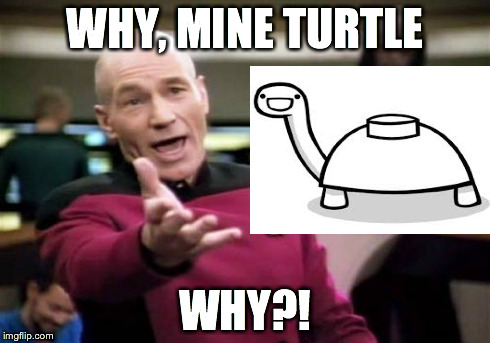 Picard Wtf Meme | WHY, MINE TURTLE WHY?! | image tagged in memes,picard wtf | made w/ Imgflip meme maker