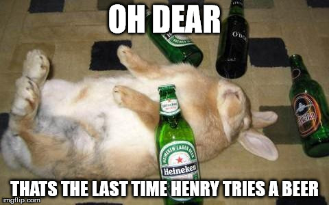 drunkbunny | OH DEAR THATS THE LAST TIME HENRY TRIES A BEER | image tagged in drunkbunny,beer | made w/ Imgflip meme maker